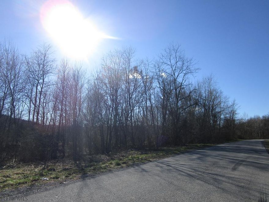 15 Acres with hard road frontage. Wooded land with a building site on Poplar Street.  Frontage on 53 is hilly. Some grading work needed. Public water available at site. Public sewer is available but not on site.