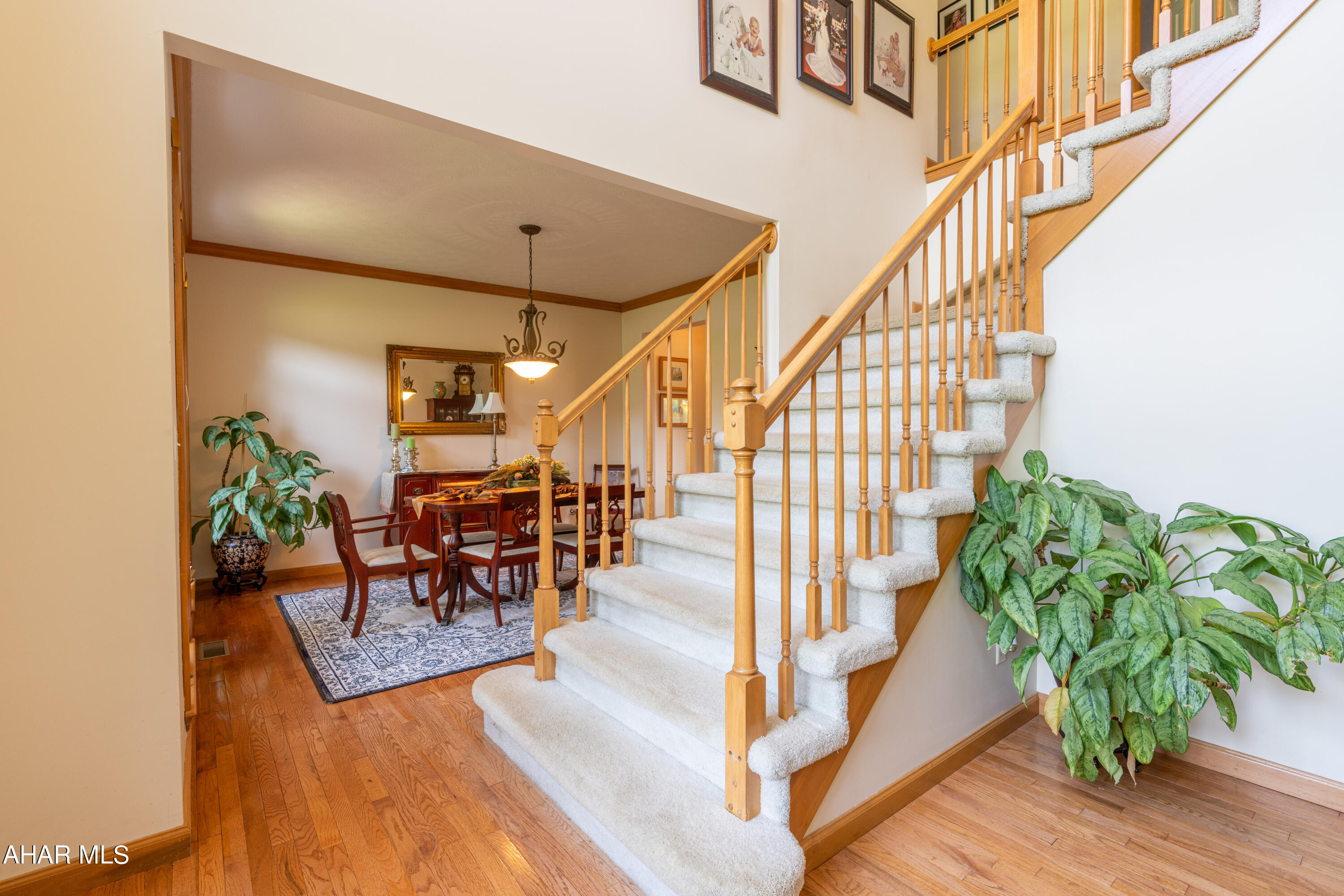 Scotch Valley - Residential