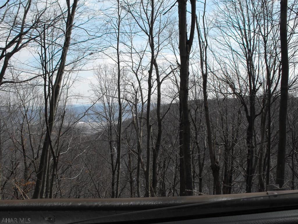 Blue Knob - Residential