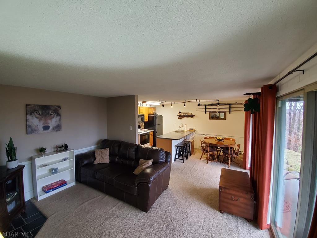 Blue Knob - Residential