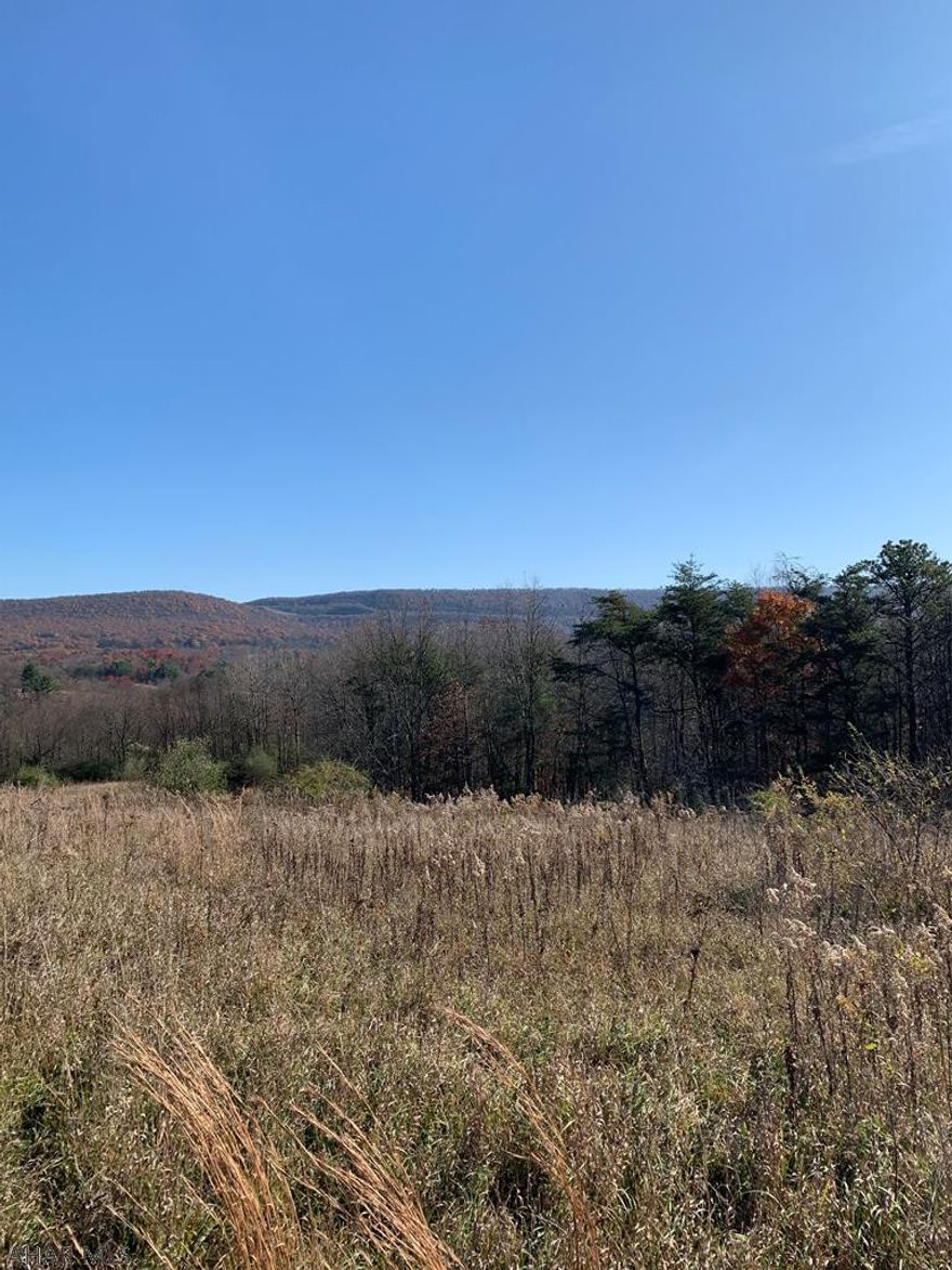 Lets talk LAND! BEAUTIFUL views you always wanted on 21.28 acres.  A must see for your new Home Sweet Home. Or how about some ground for all your recreational needs. 2 perc sites, rolling, flat, and wooded.  Minutes from PA Turnpike and I 70.  A must see!
