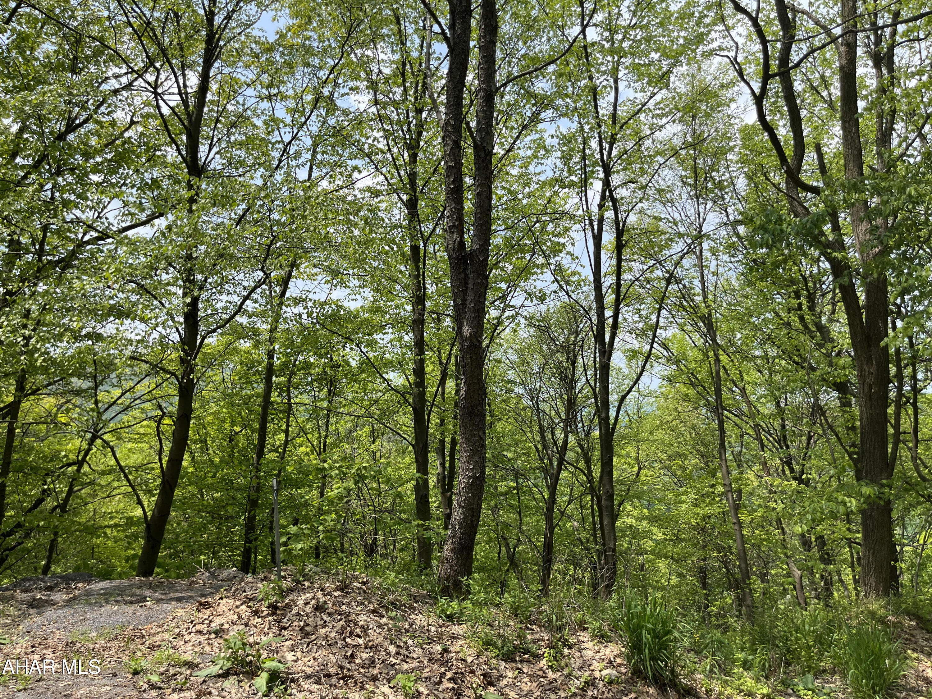 Blue Knob - Commercial Sale