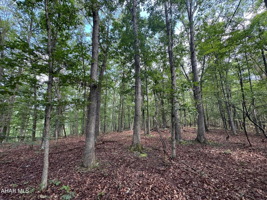This land parcel offers 31.908 acres of beautiful woodland and is situated just a few minutes from Shawnee State Park!!  Bring your tent, your camper, build a cabin, or your dream home and enjoy the calming wooded views and wildlife.  Hike, hunt, ride your ATV or just relax and enjoy your own slice of serenity. Land has road public road frontage along two township roads. Central location in historic Bedford County and easy access to major roads. Land has not been perc tested.