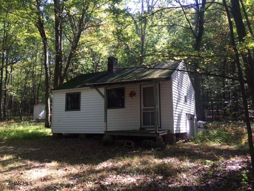 Rare opportunity to have a cabin in Buchanan State Forest.  Enjoy camping, hiking, snowmobiles, ATV's (when permitted) and hunting.  No electric or running water but does have propane lanterns and heater and an outhouse.  Must be a Pennsylvania resident over the age of 18, cannot use as permanent residence or for business/commercial activity and a person may only hold one state forest campsite lease.  This is a (cabin only) sale.  The lease must be secured separately with the Commonwealth of PA.  Other restrictions apply.