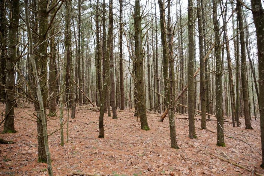 This property offers 37 +/- acres in Southern Bedford County and would make a nice place to build a getaway or dream home. Consisting of mostly wooded acreage with a small stream running through the property. Owner previously had subdivision plans completed for 12 building lots inquire for plans and more details.