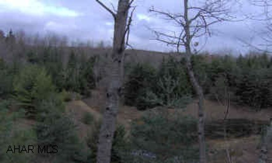 Hunting land or homesite - rural land with twp road ftg on 2 roads. Wooded and surface mined property. Gas and minerals reserved. Property to remain in clean and green. Within a ten minute drive of Glendale Lake, Prince Gallitzin State Park.