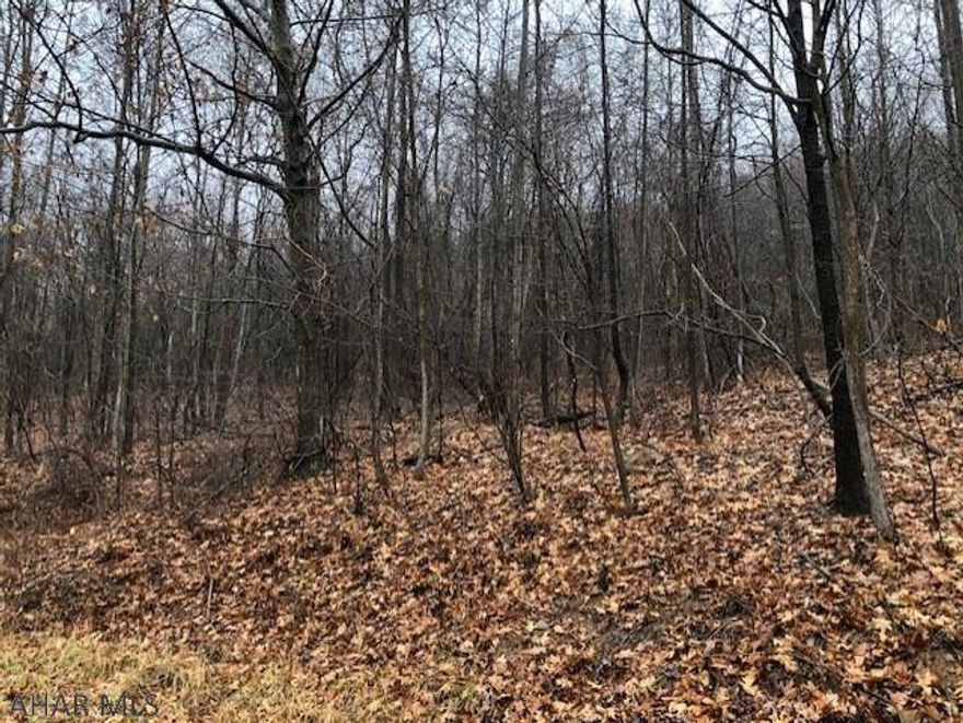 60+ acres of mountain ground.  Great hunting ground.  Build a cabin or your dream home.  Great views.  Property will be subdivided at time of purchase.