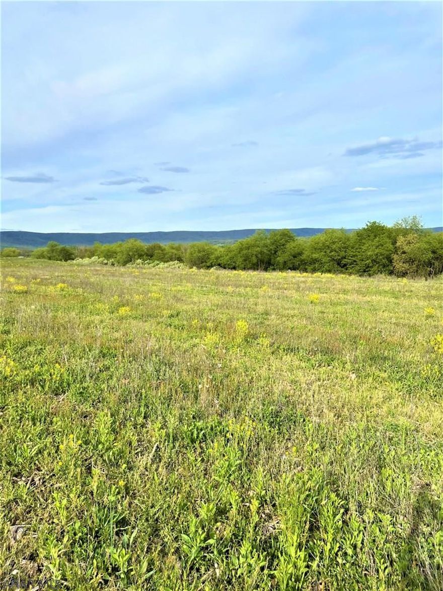How would you like to build your home with a view?! This beautiful piece of property is located on Red Oak Road. Property has a perc approved site. Open fields to enjoy morning sunrises or evening sunsets and woods for hunting or making trails. Close to I-99 and local amenities, yet large enough for lots of privacy.