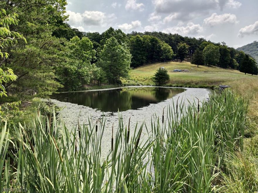 A hunter's paradise!  This property features a large, spring-fed pond and 108 acres of mostly wooded ground teeming with wildlife.  There are some flat and open spots which would make excellent spots for a cabin or even a permanent residence.  Also there are many cut trails for easy access or just a fun trail ride.  Property is close to Buchannan State Forest  and in case 108 acres isn't enough space to hunt, this property is very close to state game lands as well.