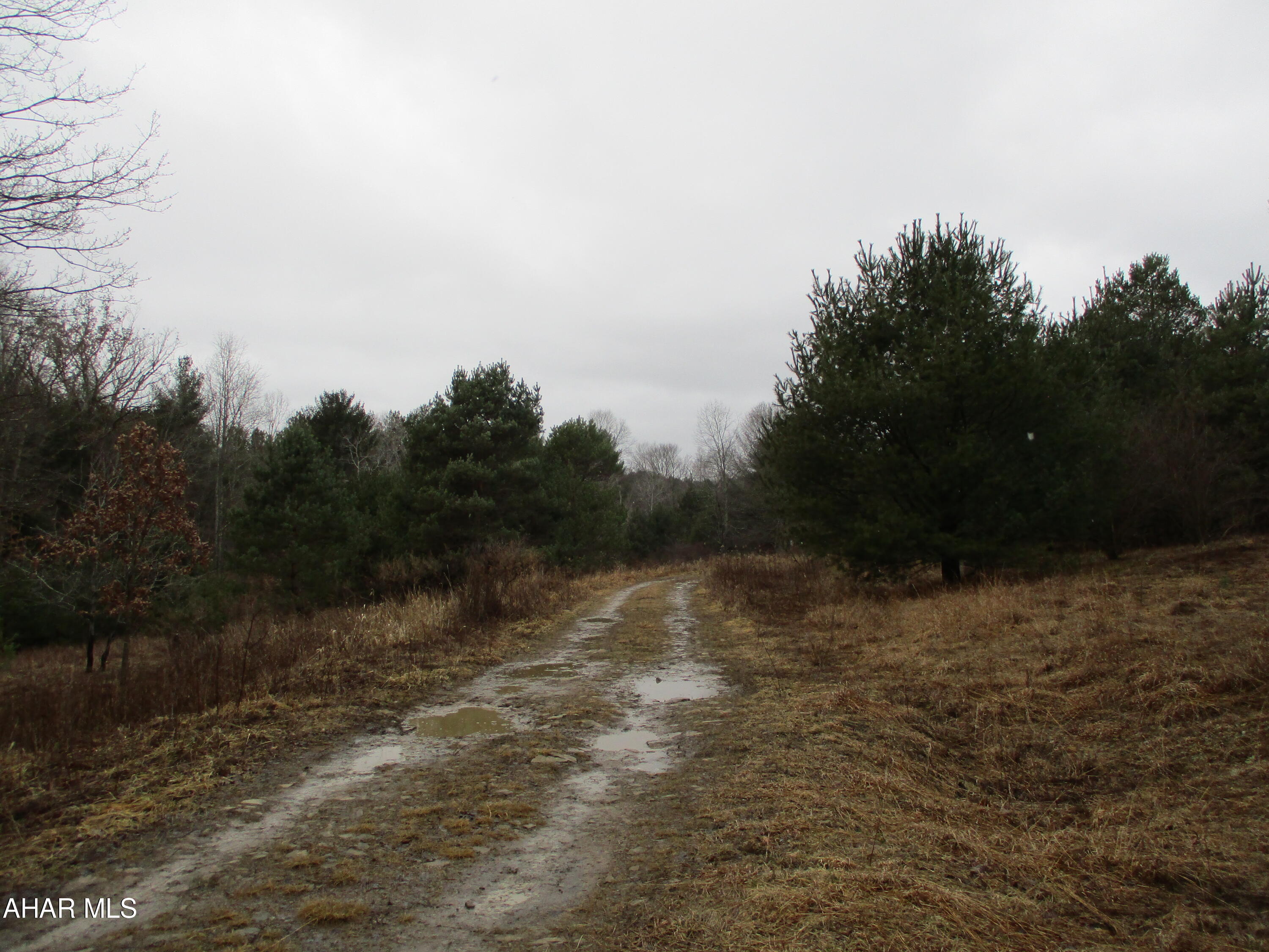 None - Commercial Sale