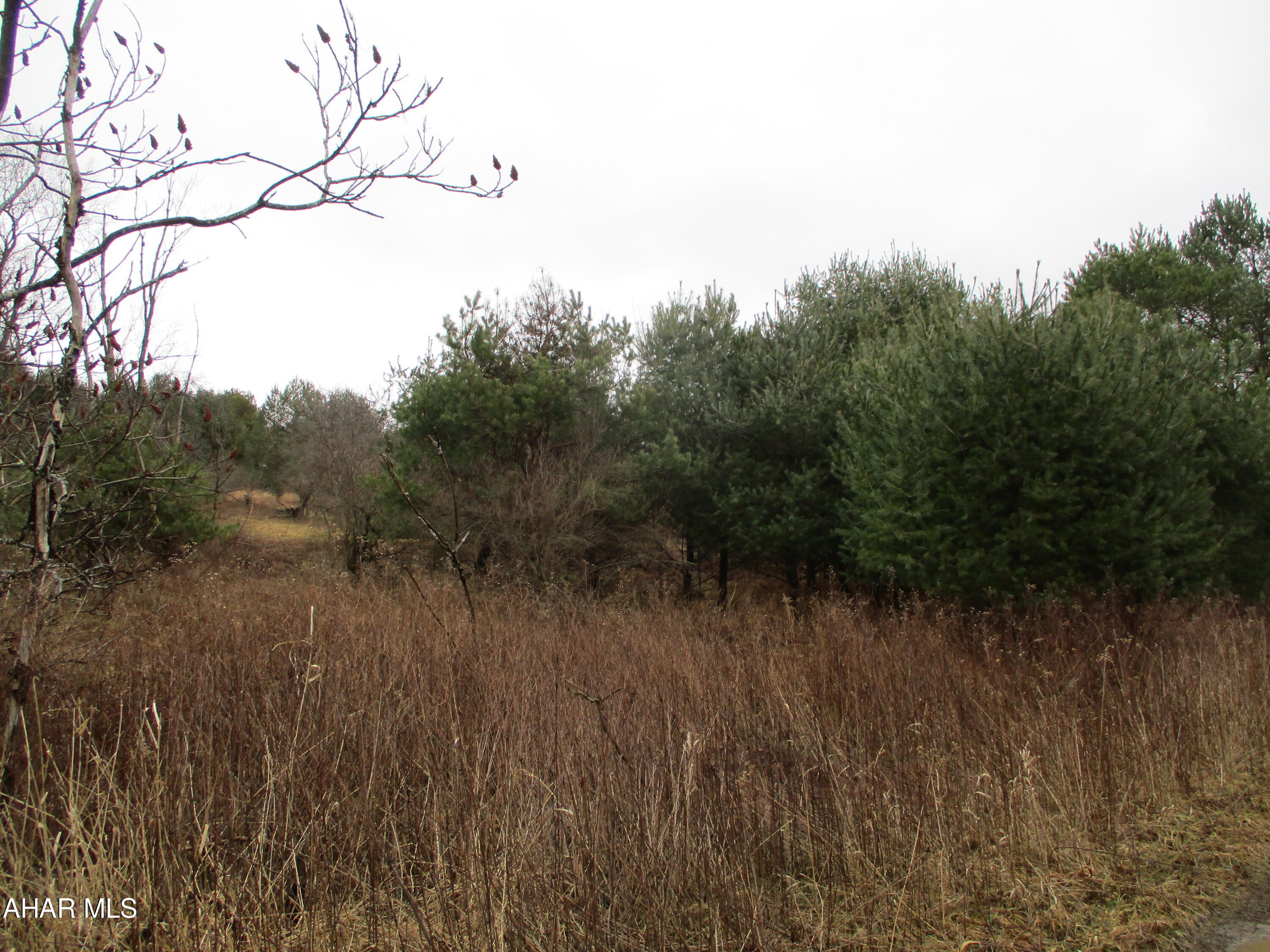 None - Commercial Sale