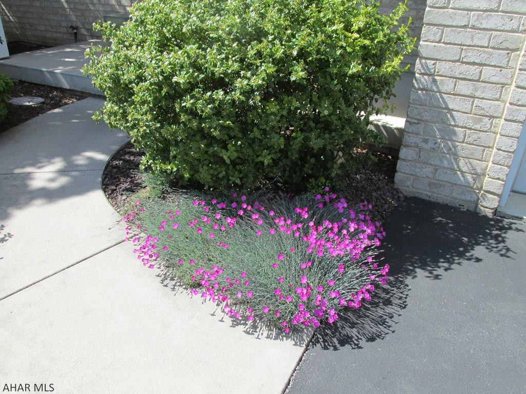 Countryside Estates - Residential