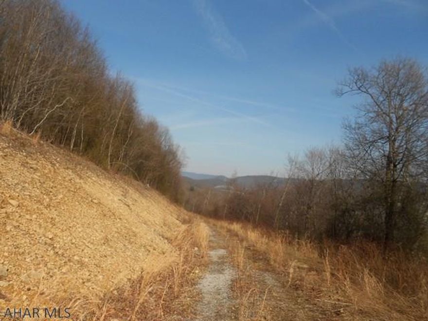 Magnificent views. This land has a 10 acre cleared area at the top and rest of the acreage is wooded. Can see the Omni Bedford Springs from the top. Abundant wildlife. Very nice road into the land to access the property. Land is in clean and green.