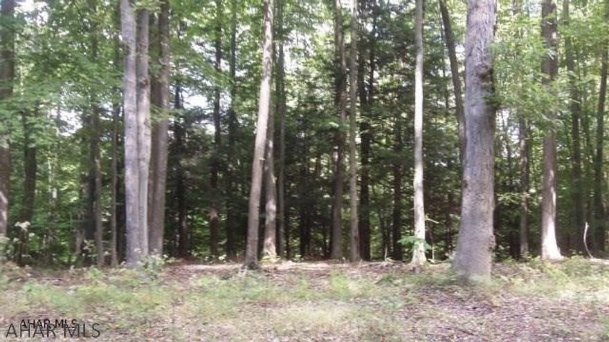 1/2 acre vacant lot inside Glendale Yearound. Glendale Yearound is a gated community minutes from Glendale Lake and Prince Gallitzin State Park.