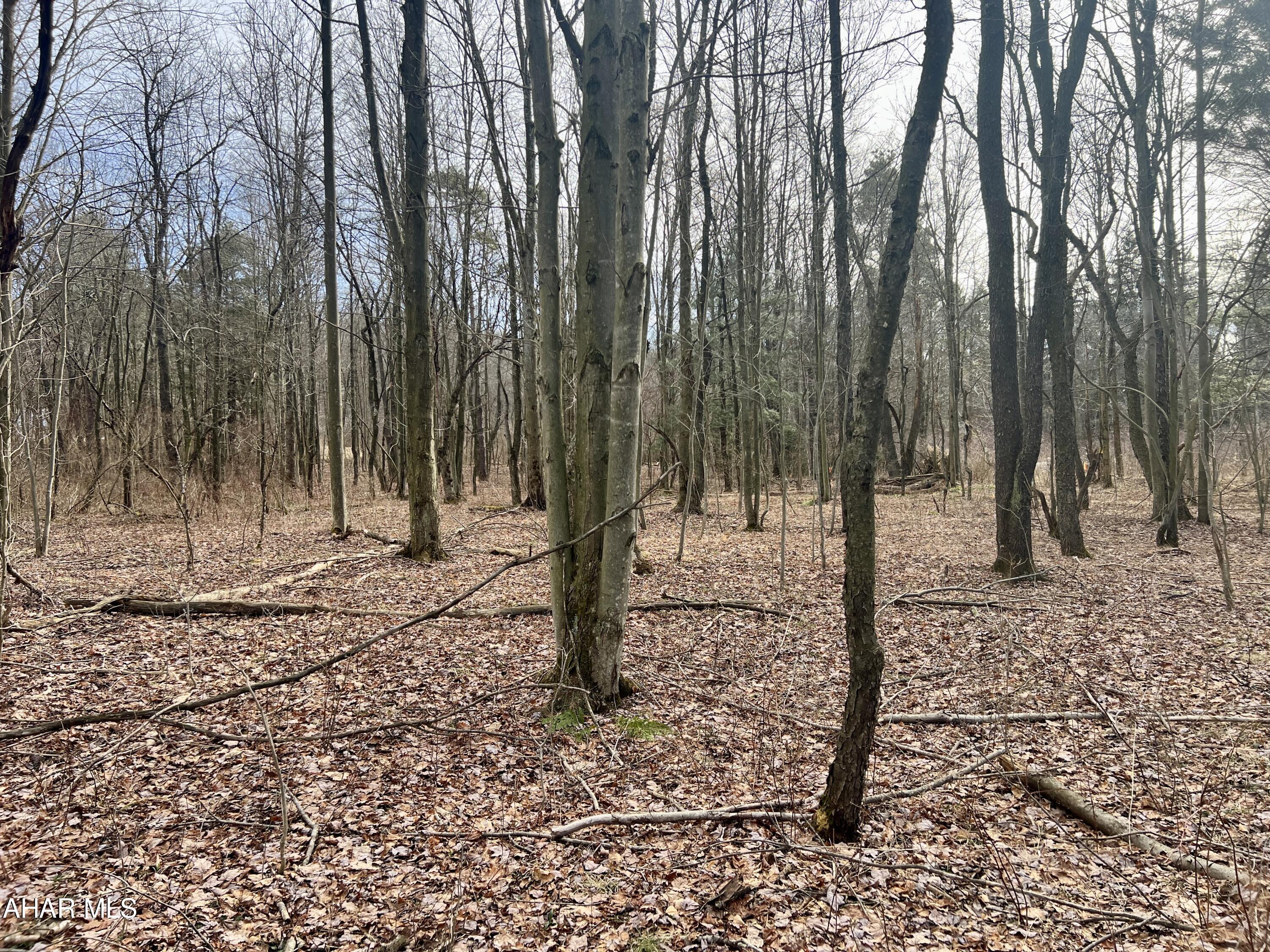 None - Commercial Sale