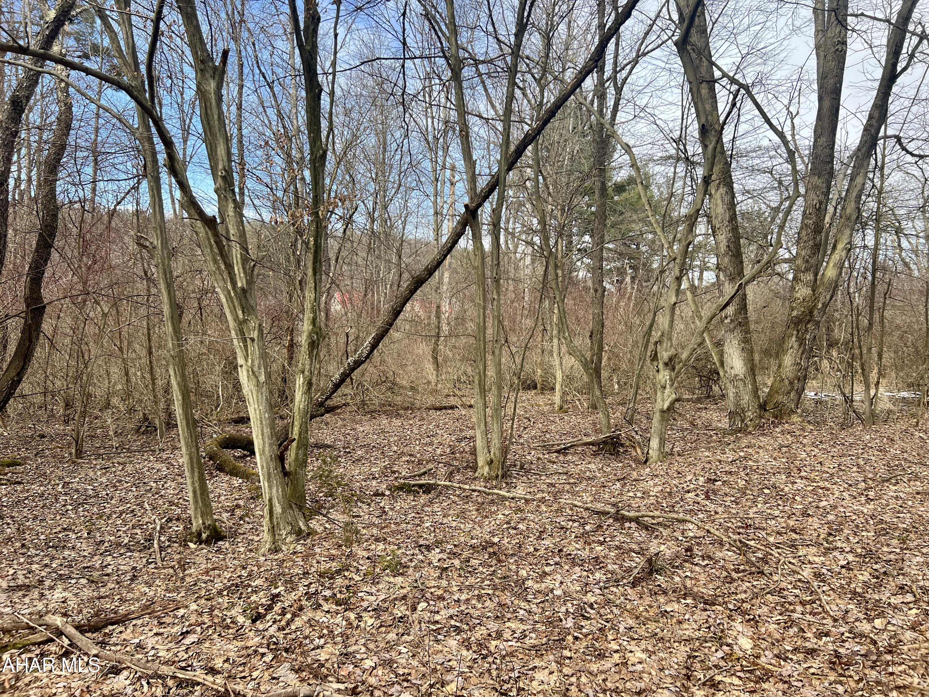 None - Commercial Sale