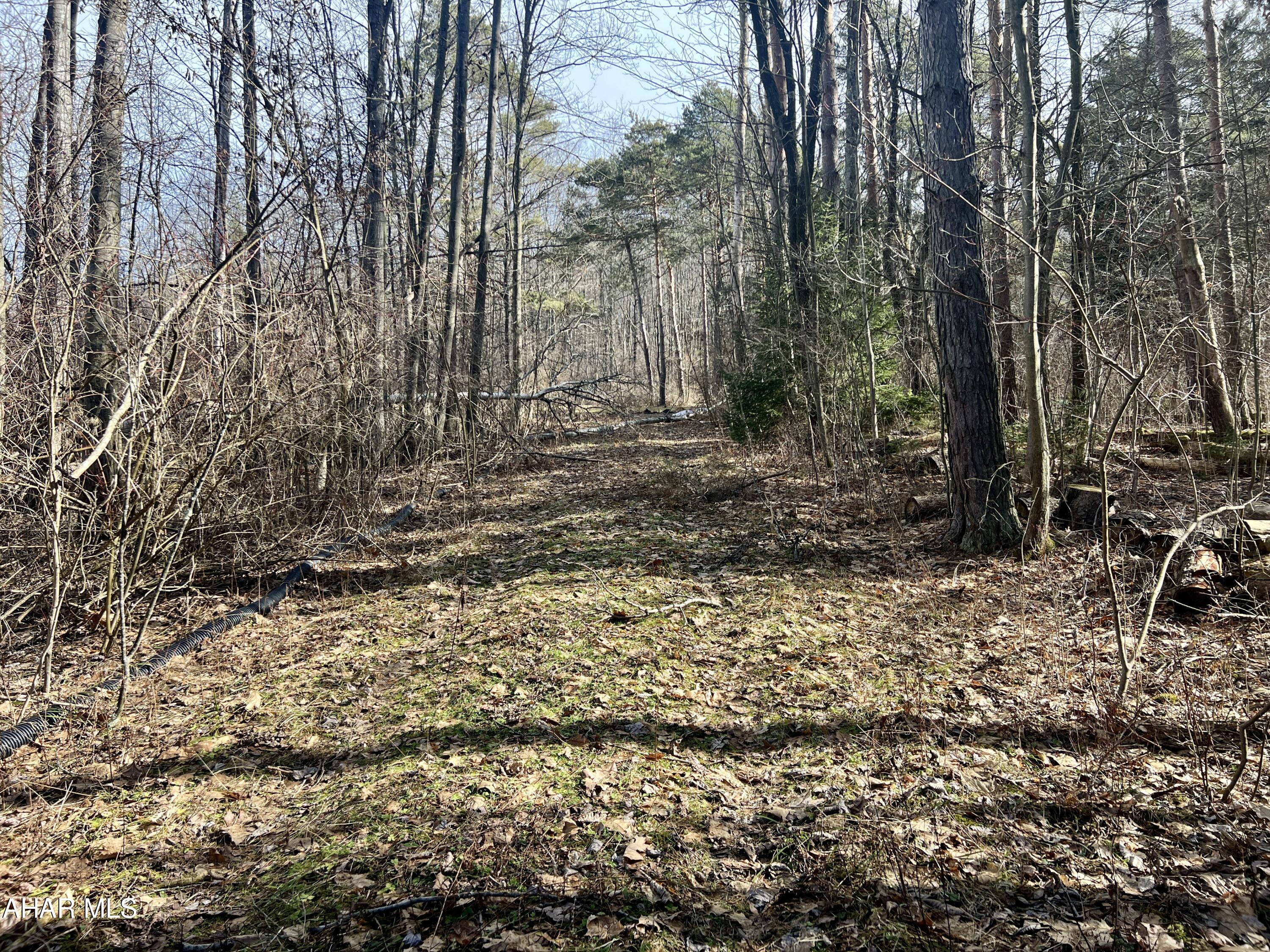 None - Commercial Sale