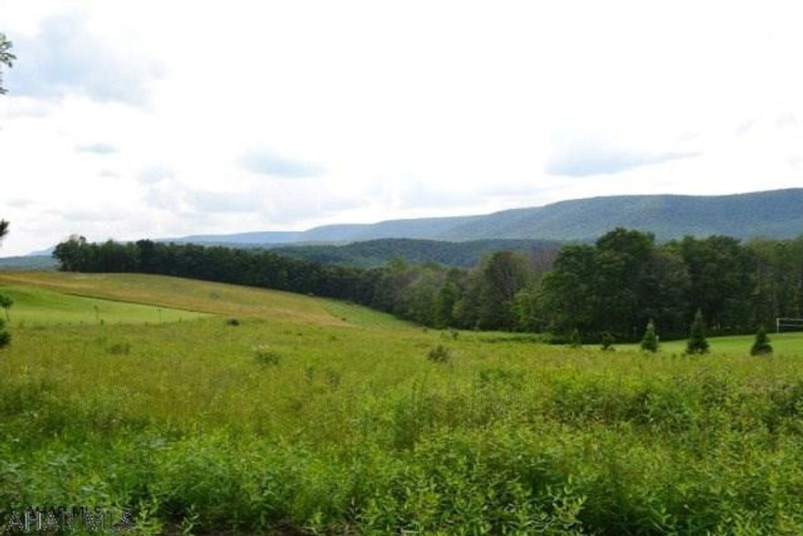 READY TO BUILD YOUR DREAM HOME!  Incredible mountain views from this 1.64 acre lot in Bedford County. Chestnut Ridge schools, septic approval with design, ready for install.