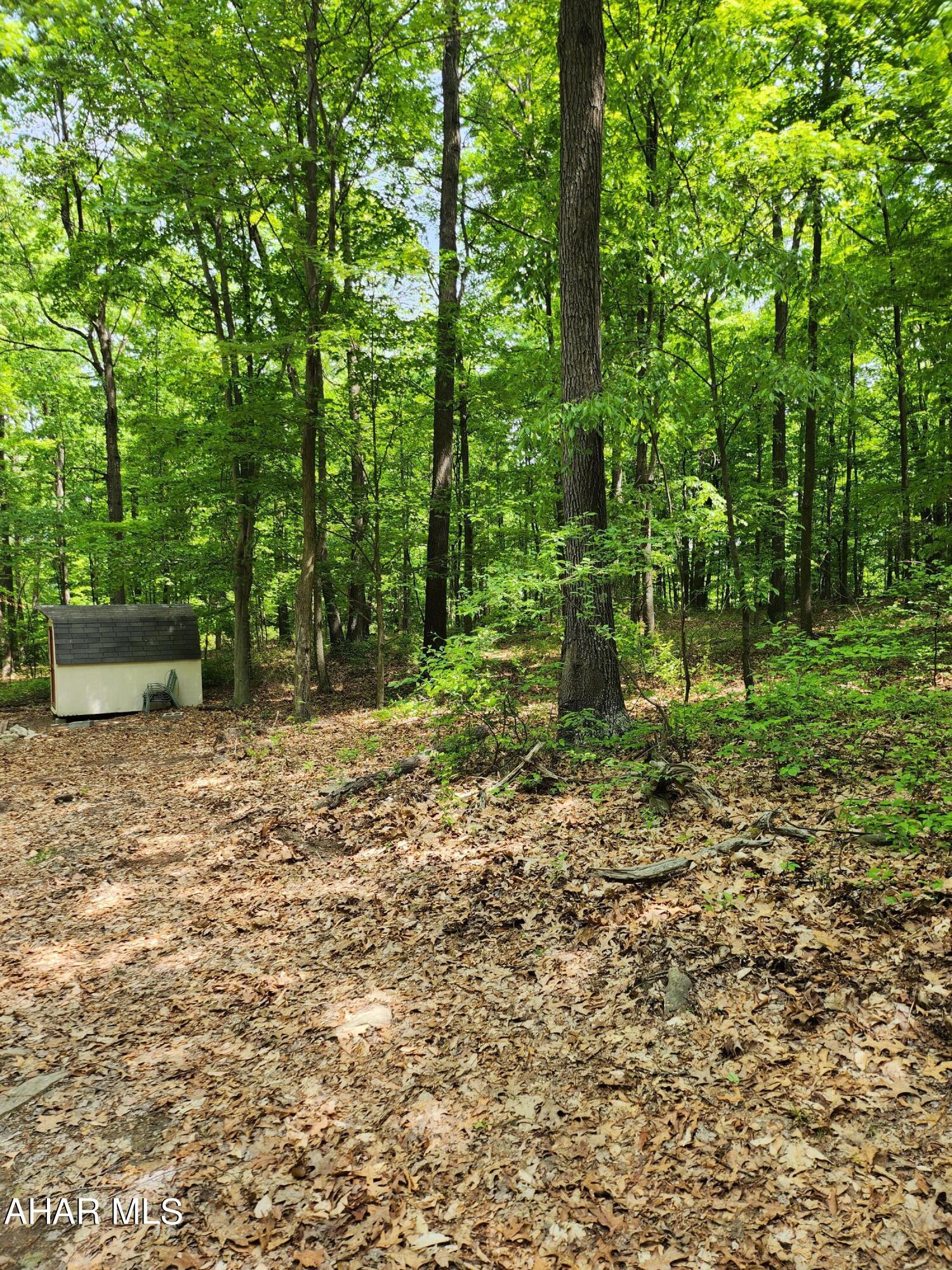 None - Commercial Sale