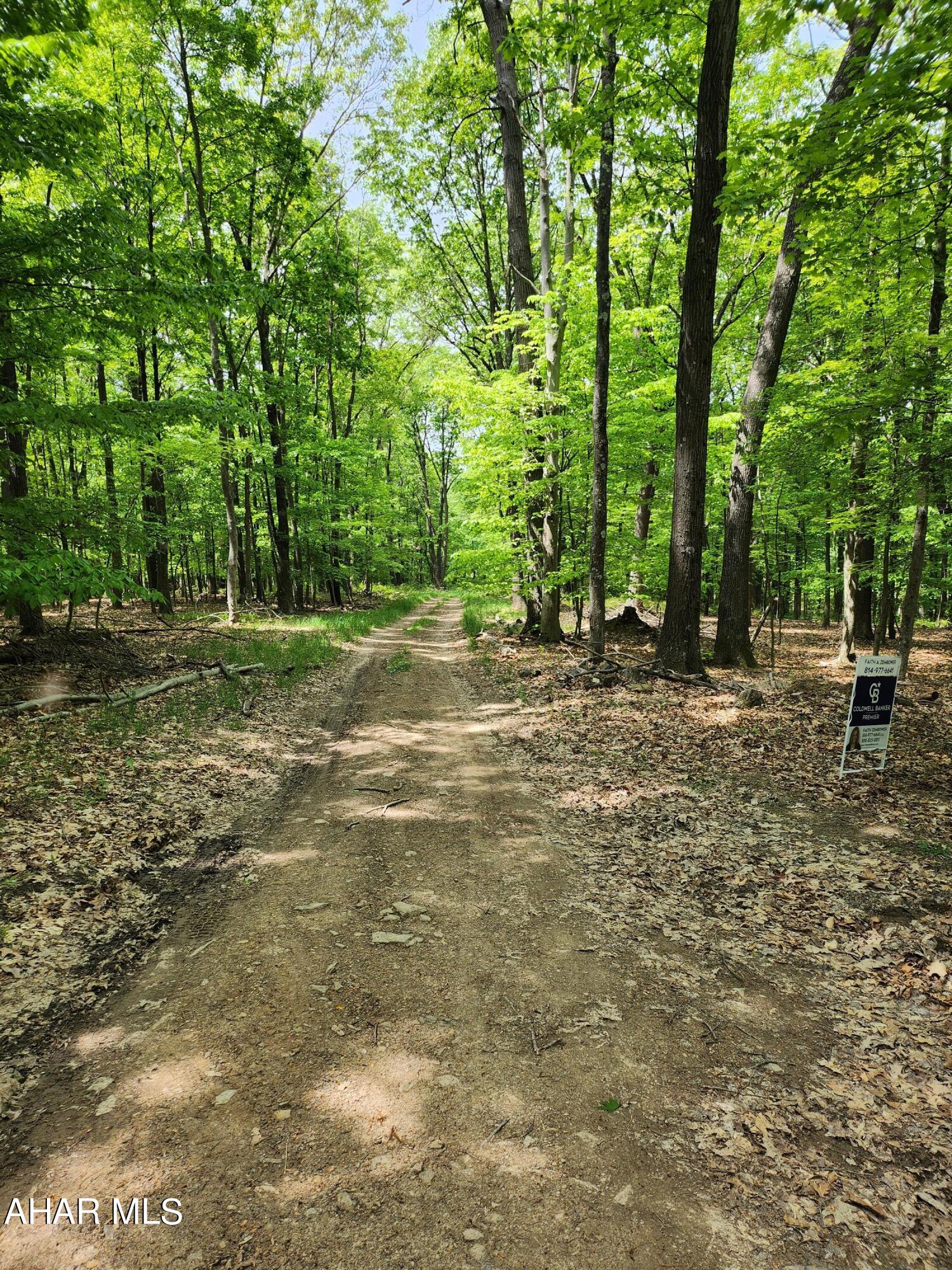 None - Commercial Sale