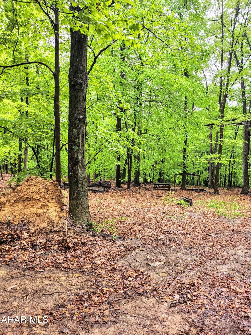 Endless potential on 5 private acres near Raystown Lake!

This predominantly wooded property offers a peaceful, secluded setting and is ideal for building a retreat, enjoying recreational use, or using as a hunting property. While the land has not been perked and no water is currently on site, it provides a blank slate for your vision. Buyers will need to clear trees for access and confirm possibilities with local municipalities.

Whether you're looking for a private getaway, a future building site, or land to enjoy the outdoors, this 5-acre parcel offers a great opportunity in a desirable location close to Raystown Lake.