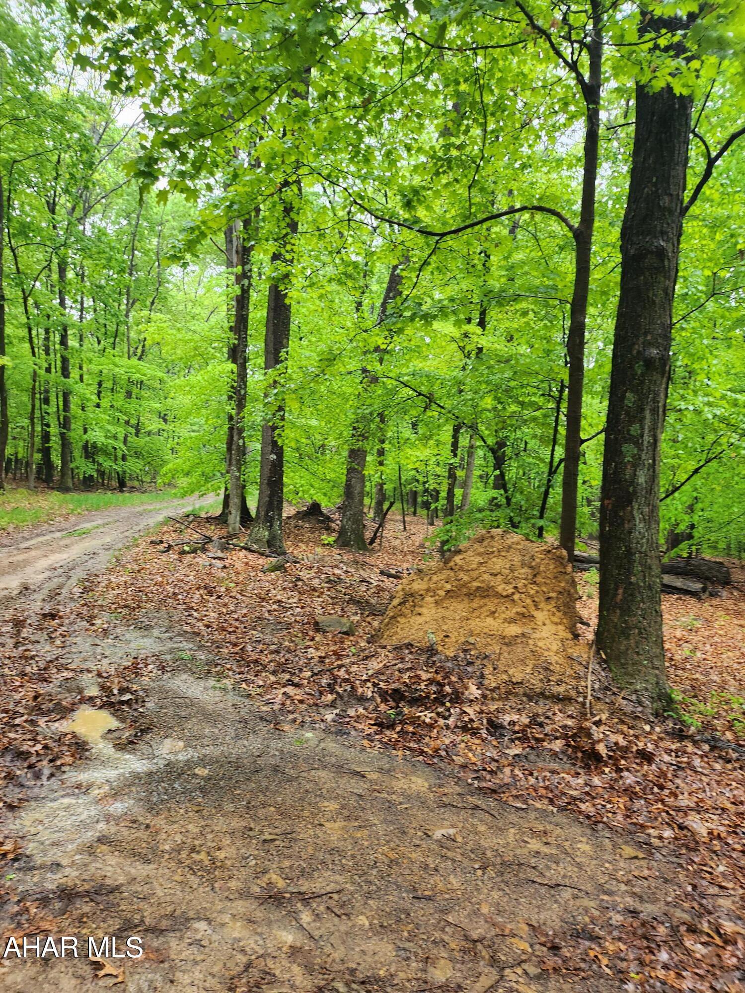 None - Commercial Sale