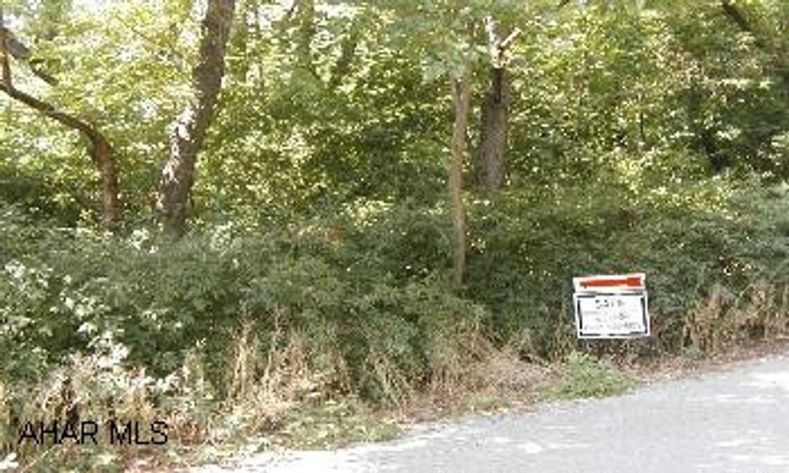 Wood lot on dead end street with access to public utilities.