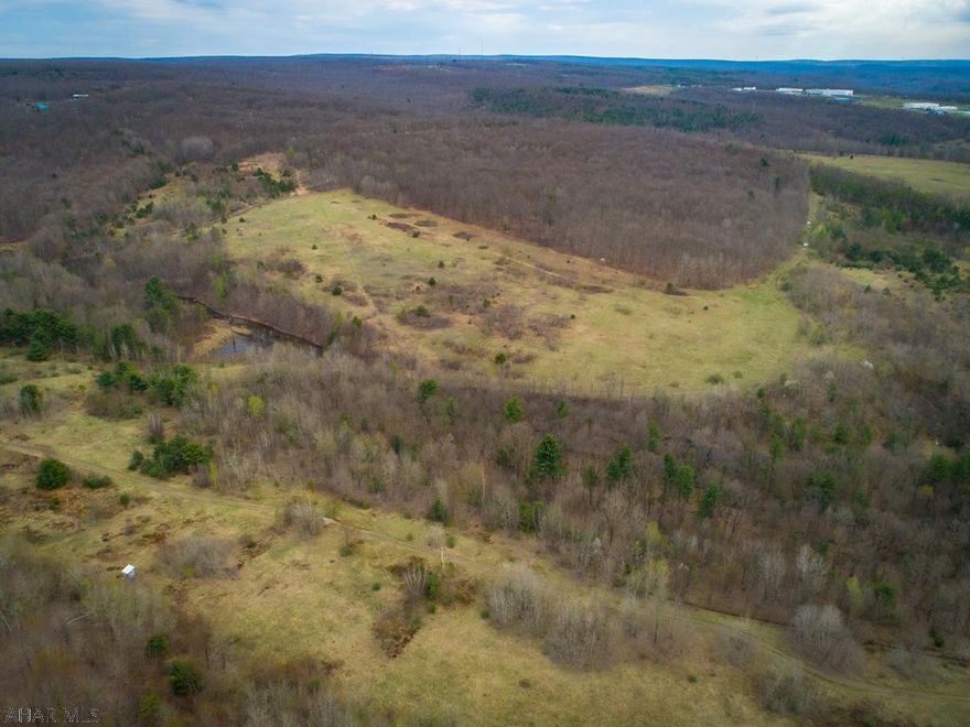 This property encompasses 274.63 +/- acres of land comprised of woodland & non-tillage acreage situated just north of Philipsburg by Route 504 (Black Moshannon Rd) to the east side & Birch St along its southern border.  Electric service exists adjacent to the property.  8" water line is located along the Northside of Birch St within the property boundary owned by PA American Water Company.  Per the property owner, Surface mining of the coal minerals has taken place over a large portion of the property & no viable surface coal value remains. These areas have been back-filled & released of all mining liability. Mineral rights are not included. An existing right of way grant provides permission to Verizon for a 20 ft x 20ft easement along Rt 504, .5 miles beyond Birch St. Zoned Rural Resource