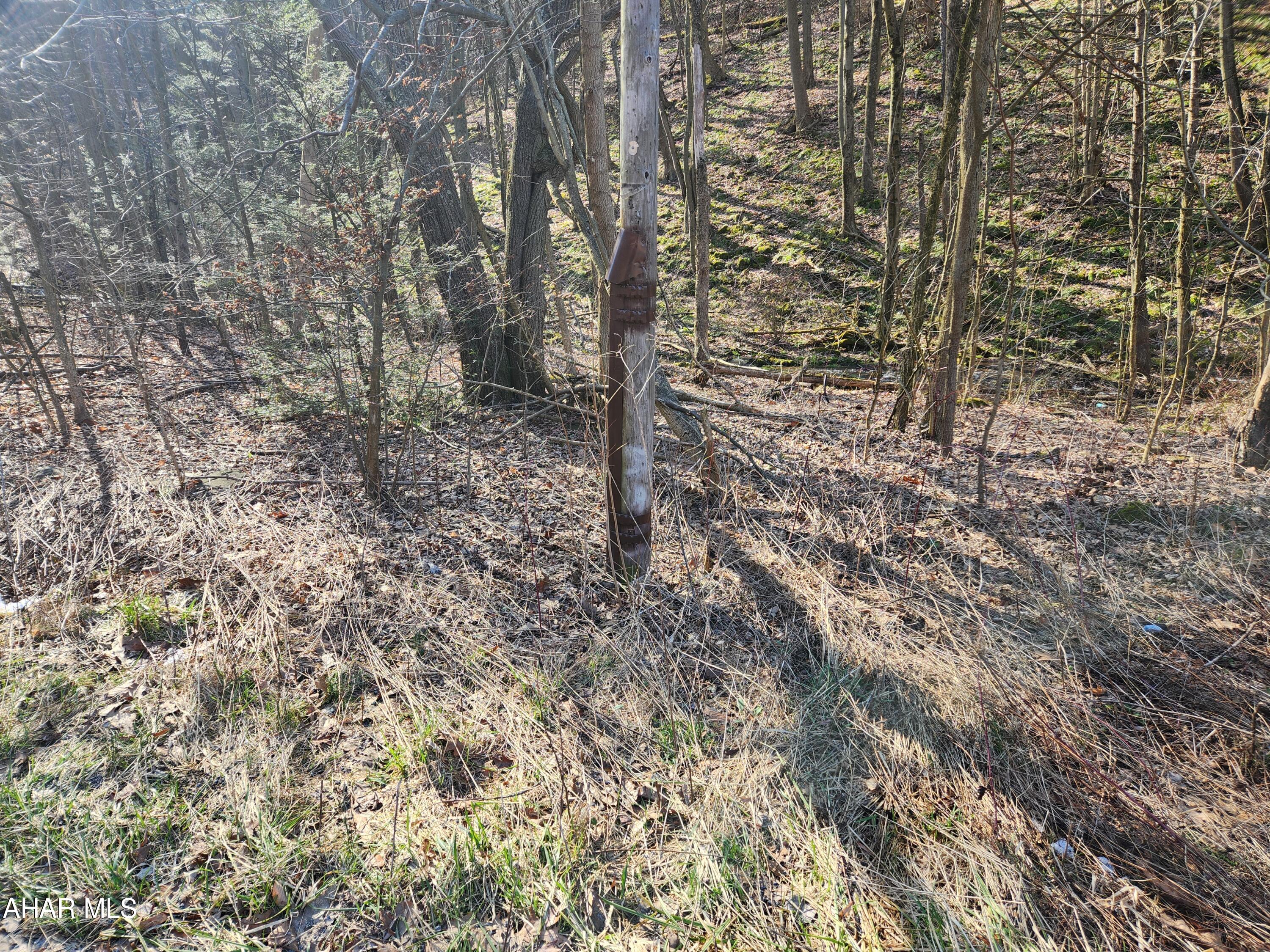 None - Commercial Sale