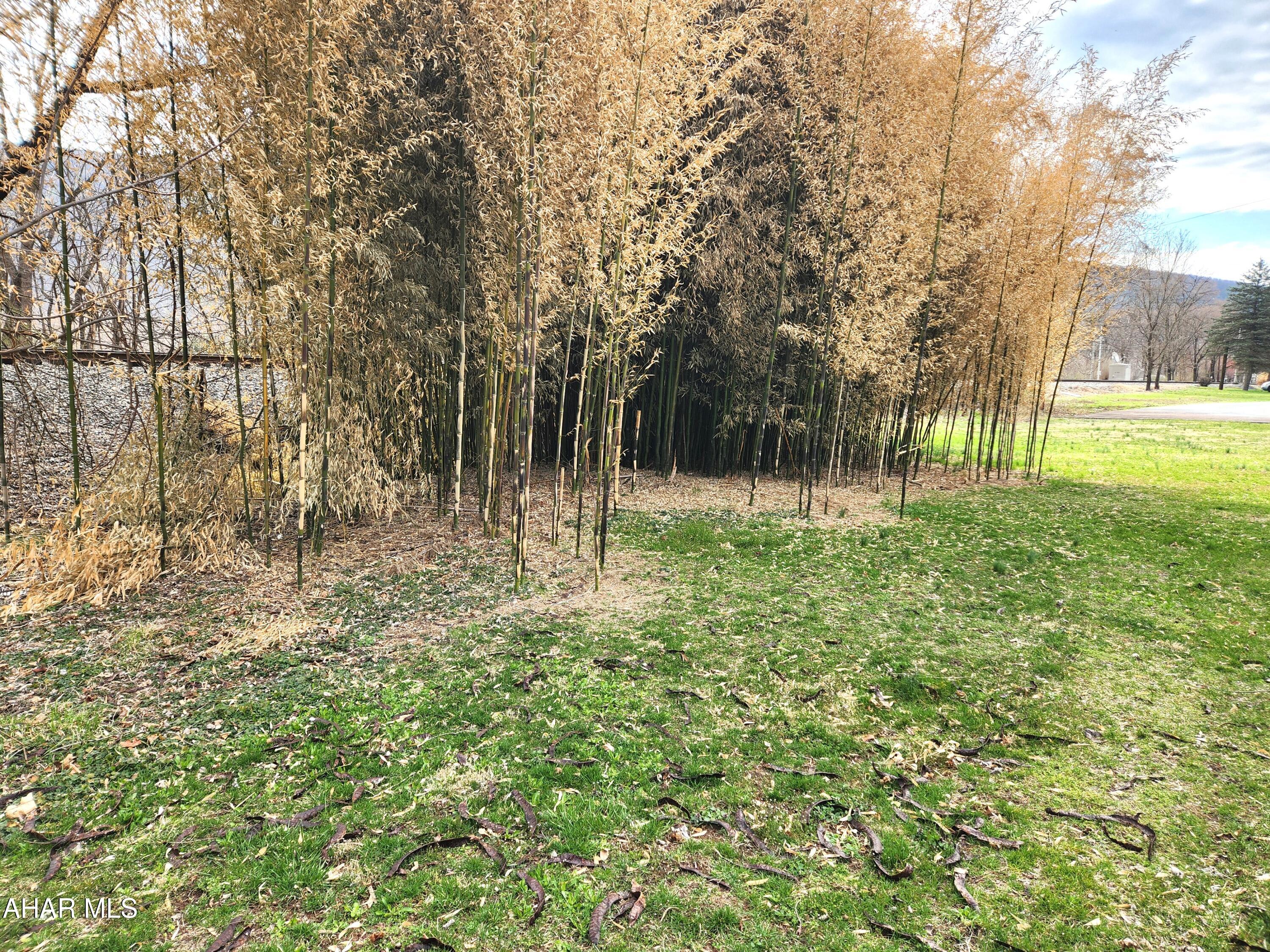 None - Commercial Sale