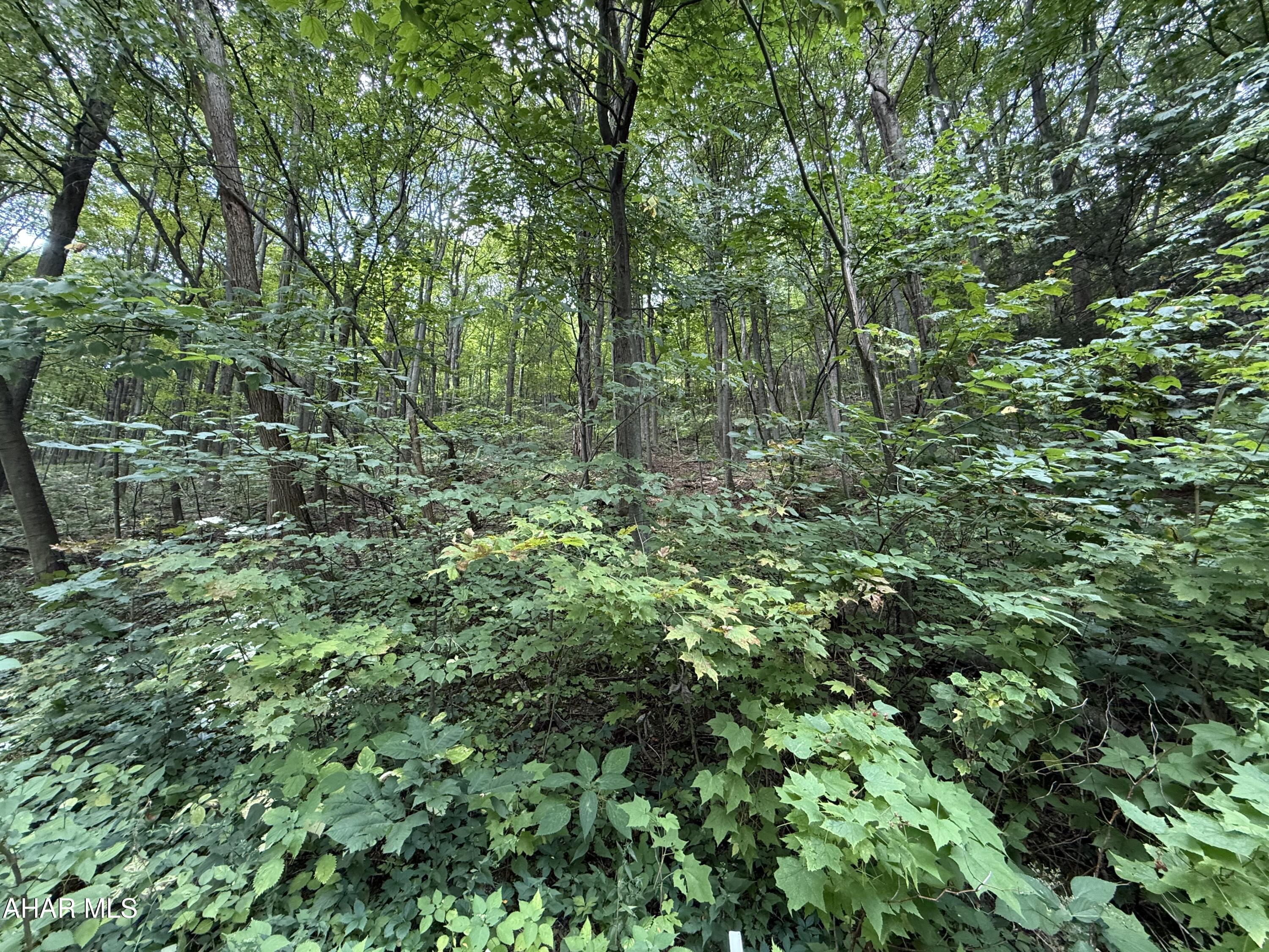 Blue Knob - Commercial Sale