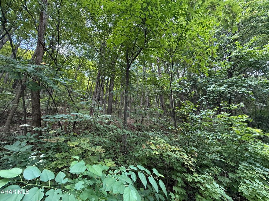 Great building lot at Blue Knob Resort.  Water, Sewer and Electric are available just pay tap fee.  
 
HOA 
Lot Owners - $125.00 a year      
Homeowners - $425.00 a year
 
SKA Membership Dues include:
Road maintenance
Snow plowing of the roads
Access to:
Dumpsters for trash
Outdoor pool
Tennis court
Biking and hiking trails
Clubhouse Bar and Grille (open ski and golf season)
Indoor pool, sauna and hot tubs for a reasonable fee.  
Golf Course for fees posted on blueknob.com
Snowshoeing
Downhill and Cross-Country Skiing for fees posted on www.blueknob.com
Fun, excitement, beauty, activities, wildlife, relaxation - PRICELESS!