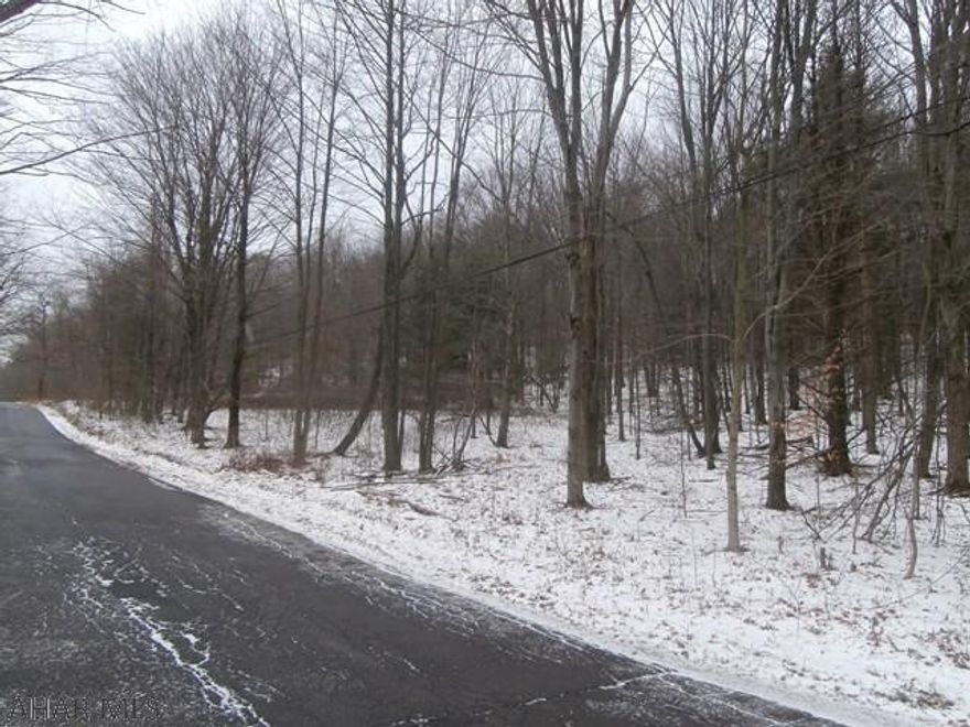 Wooded acreage with good road frontage. Would make nice building site. Good topo. Was  perc tested 10+ years ago and passed. Will need retested.
