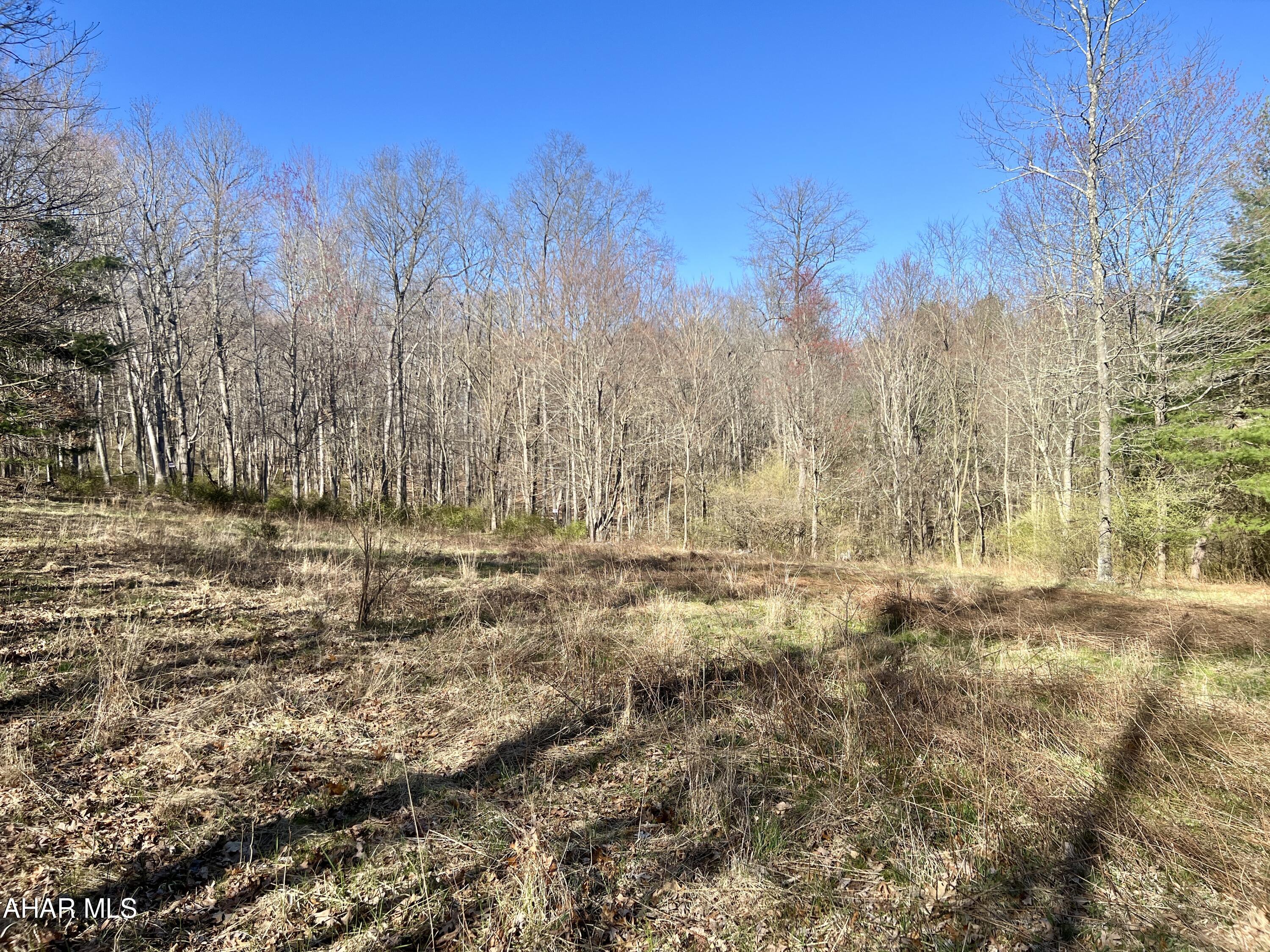 None - Commercial Sale