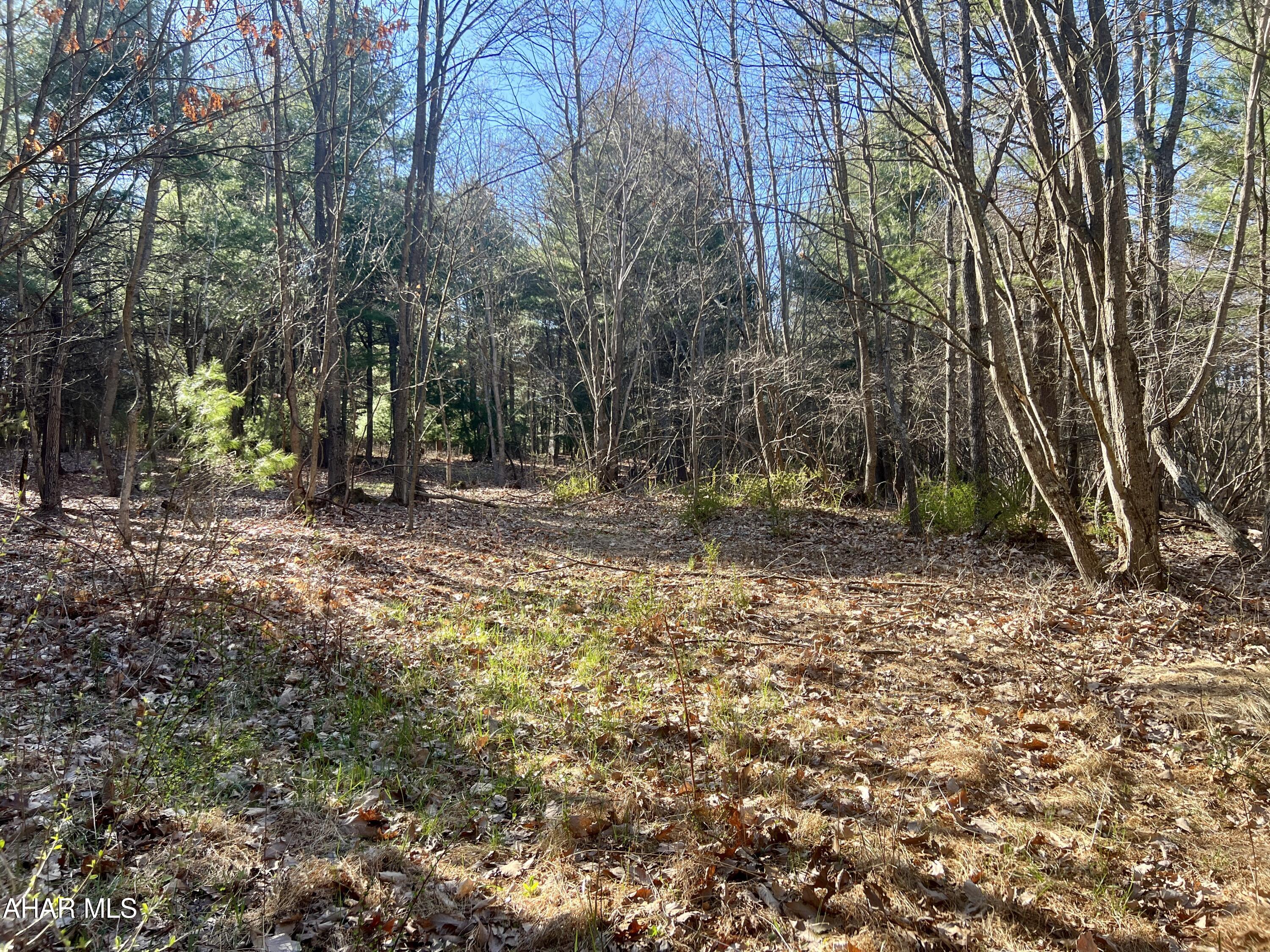 None - Commercial Sale