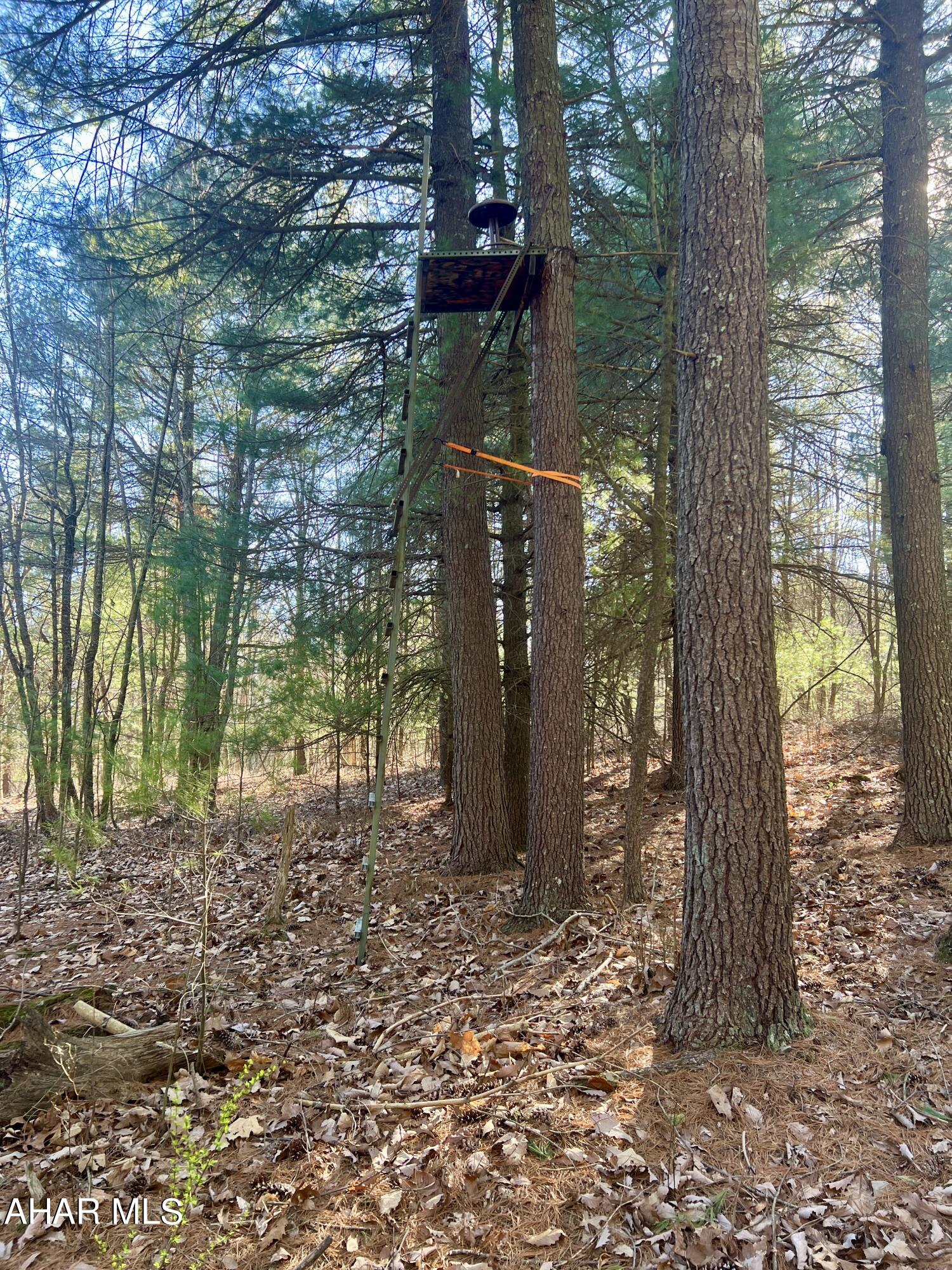 None - Commercial Sale