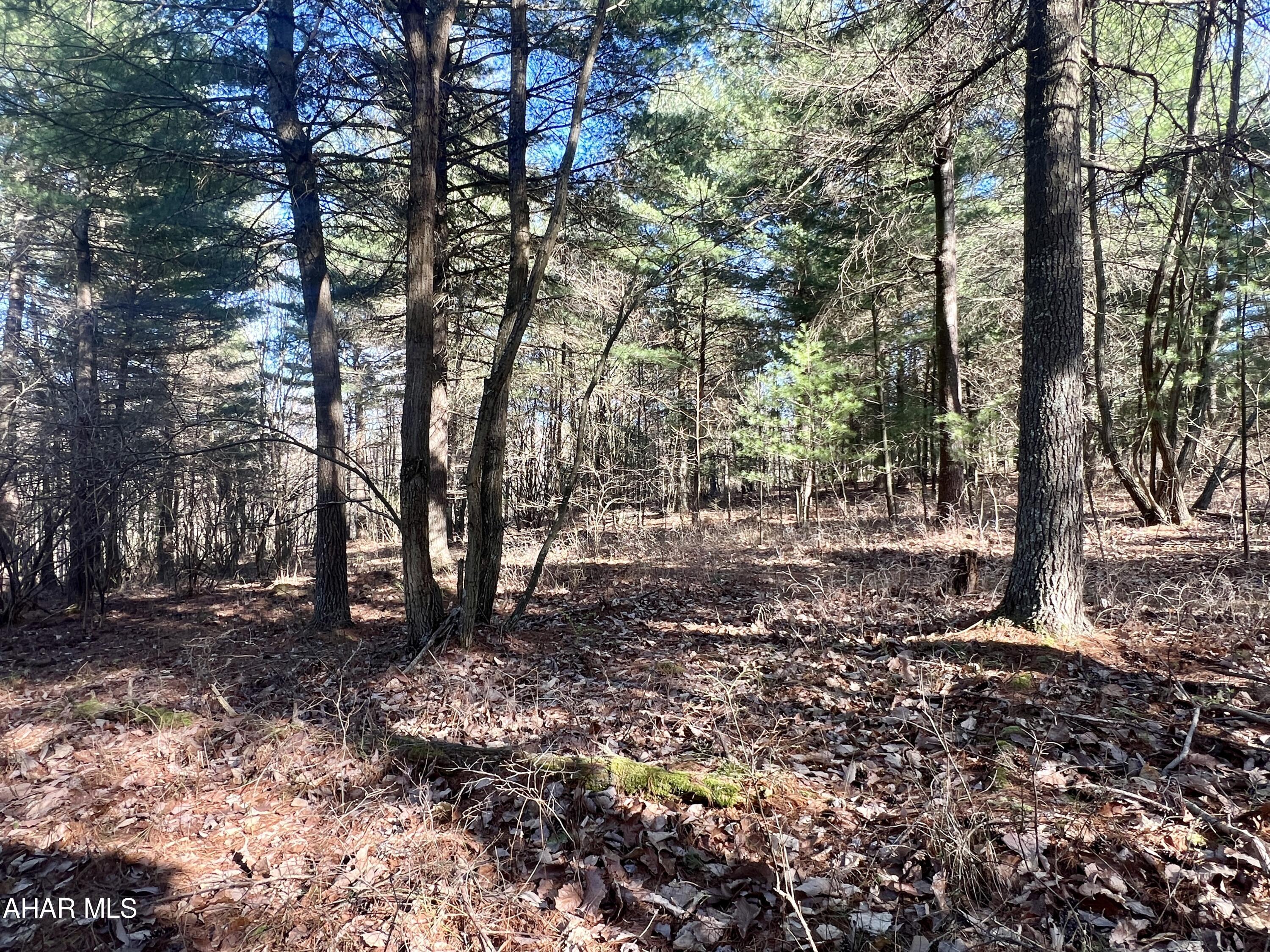 None - Commercial Sale