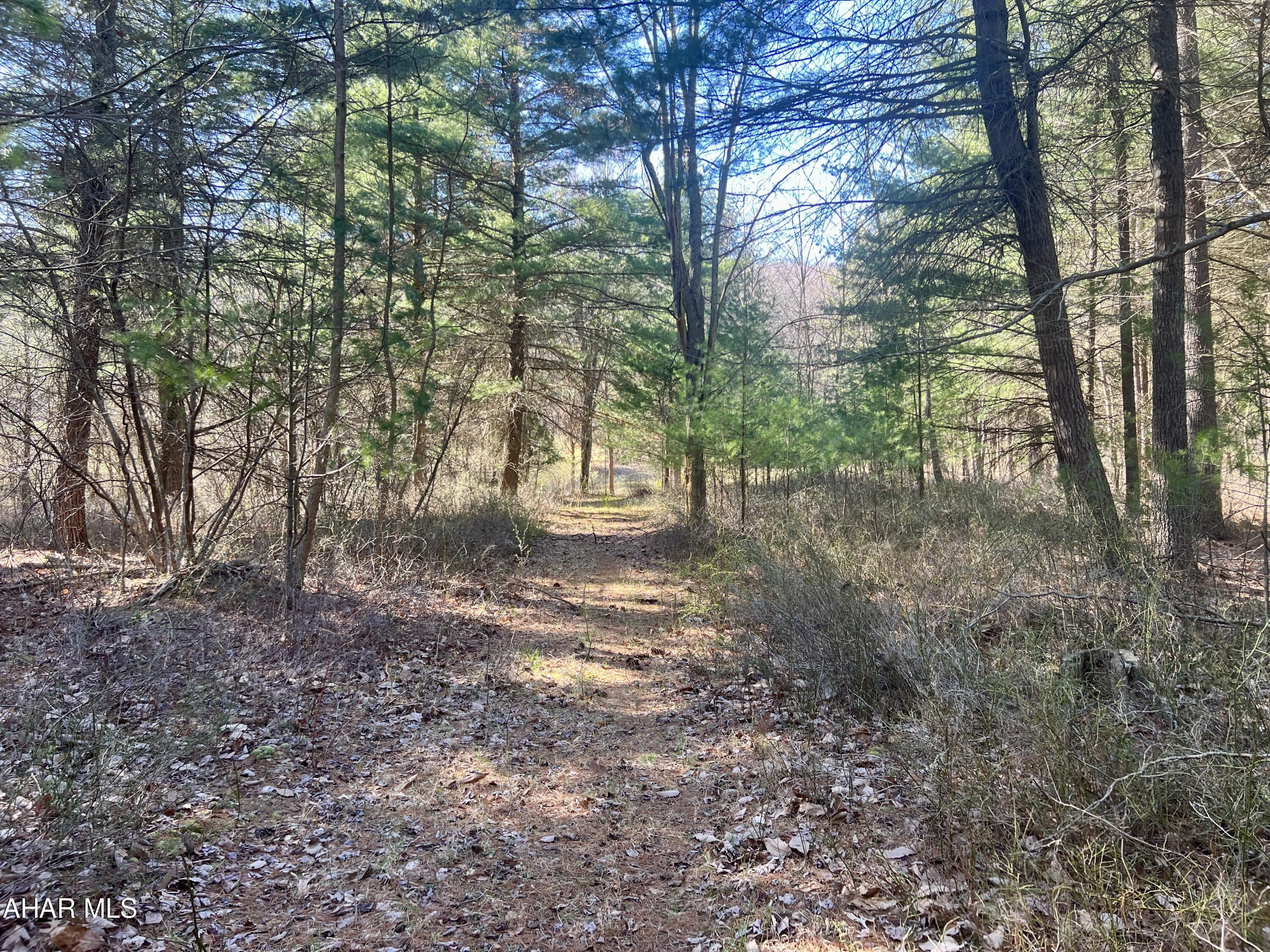 None - Commercial Sale