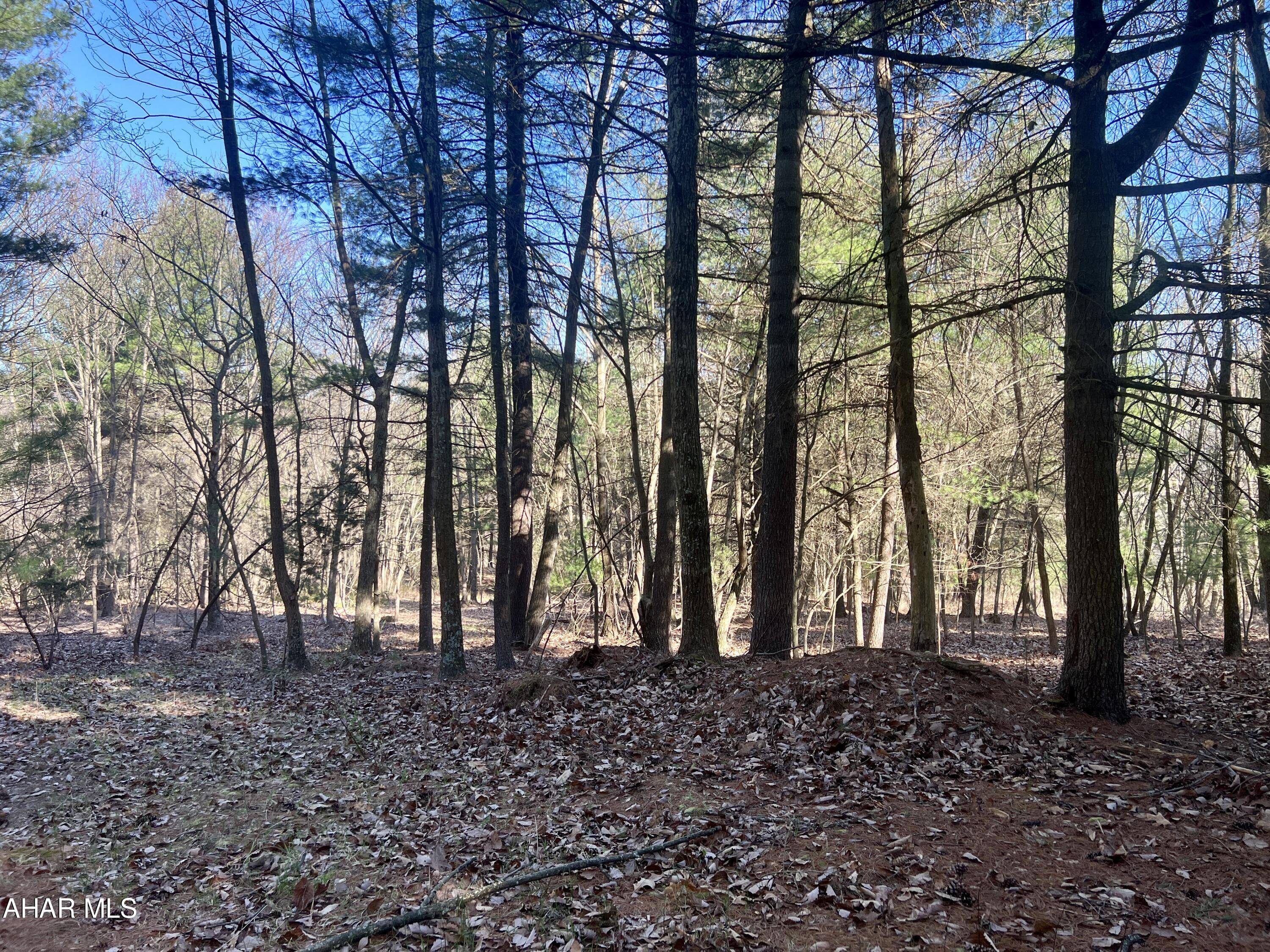 None - Commercial Sale