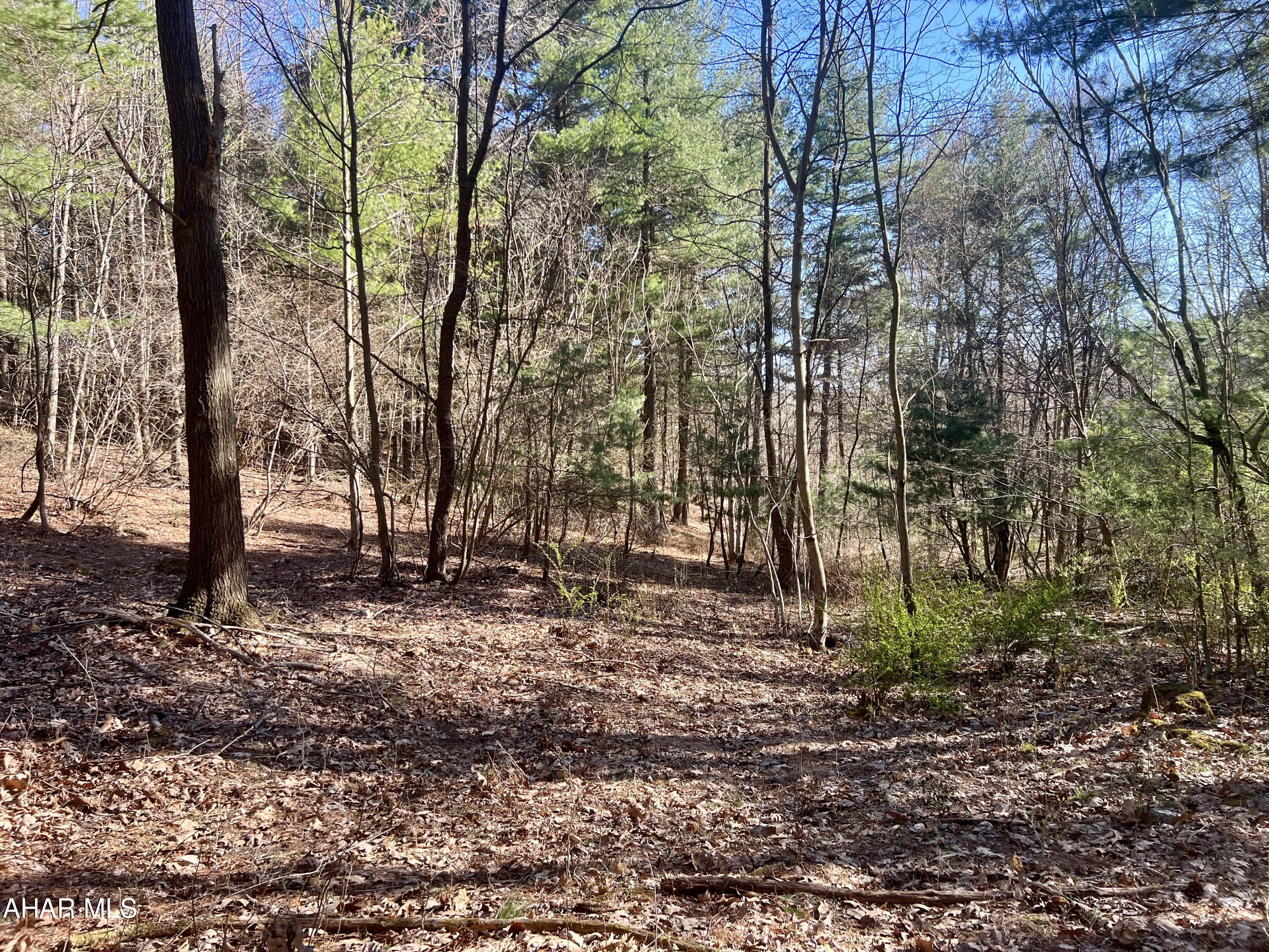 None - Commercial Sale