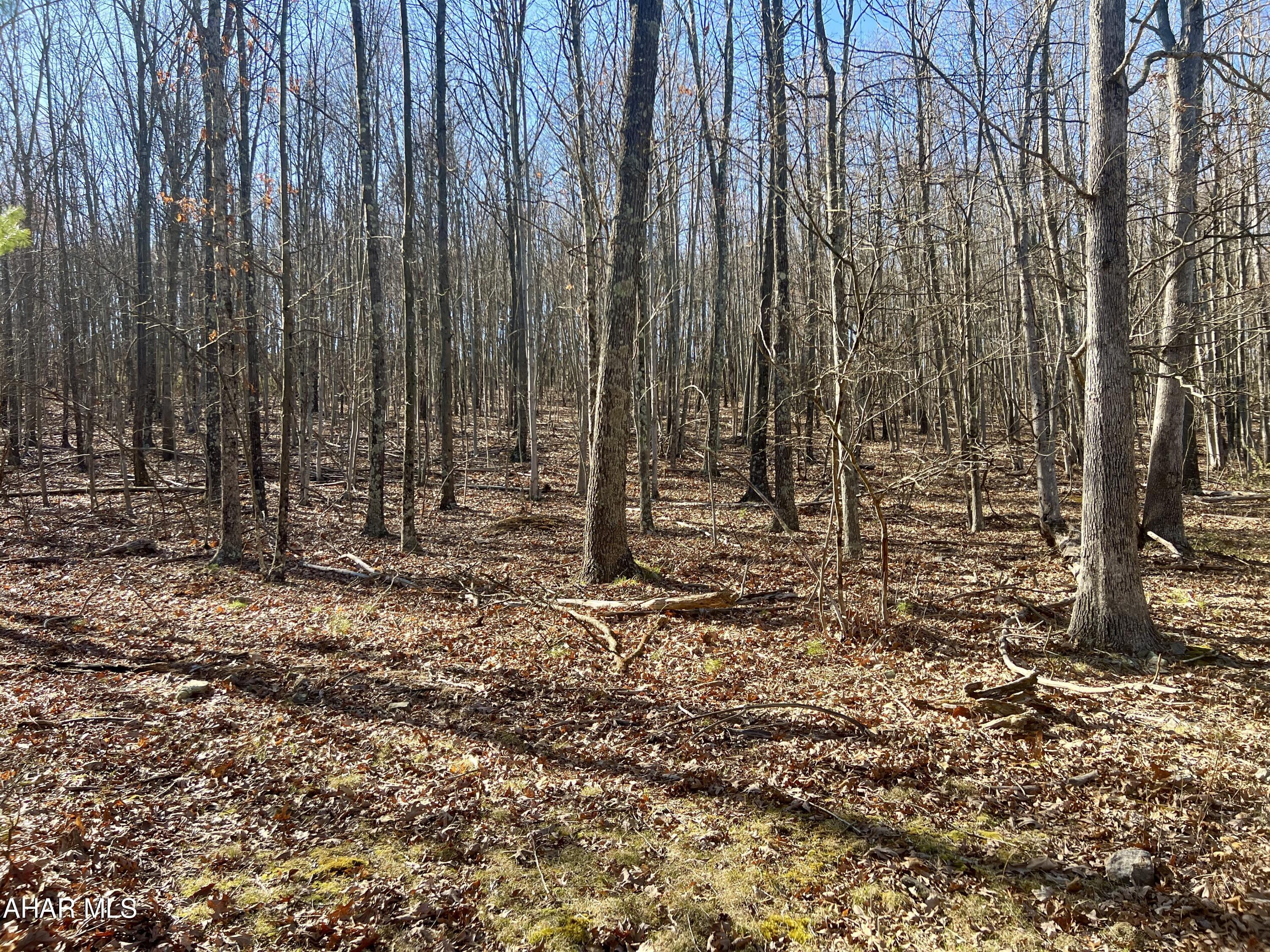 None - Commercial Sale