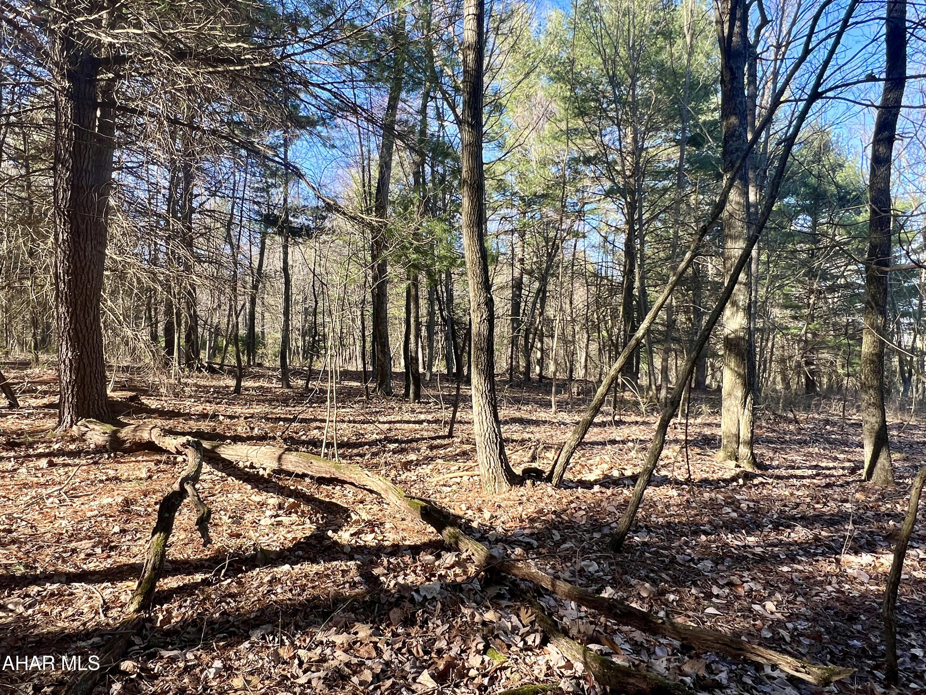 None - Commercial Sale