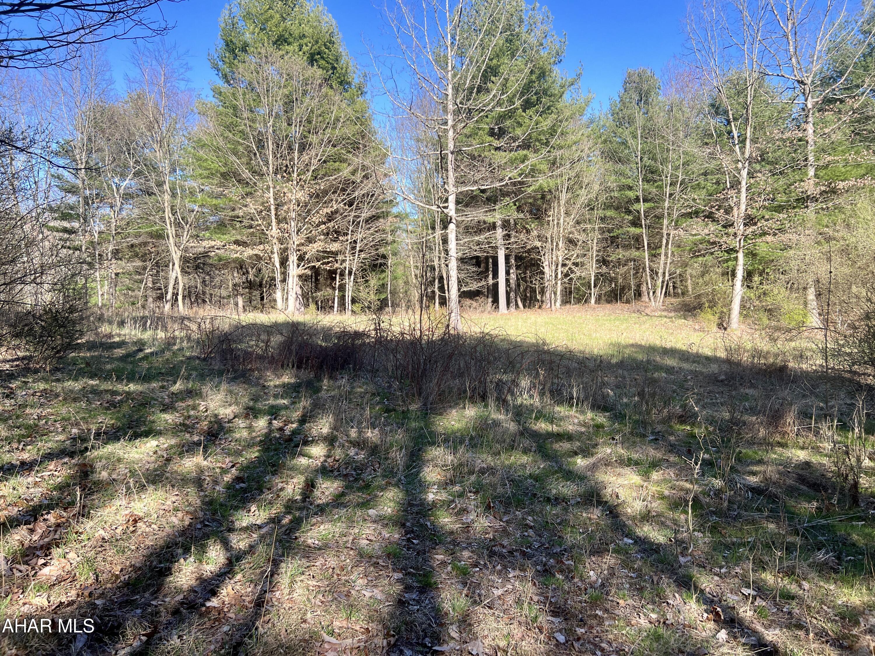 None - Commercial Sale