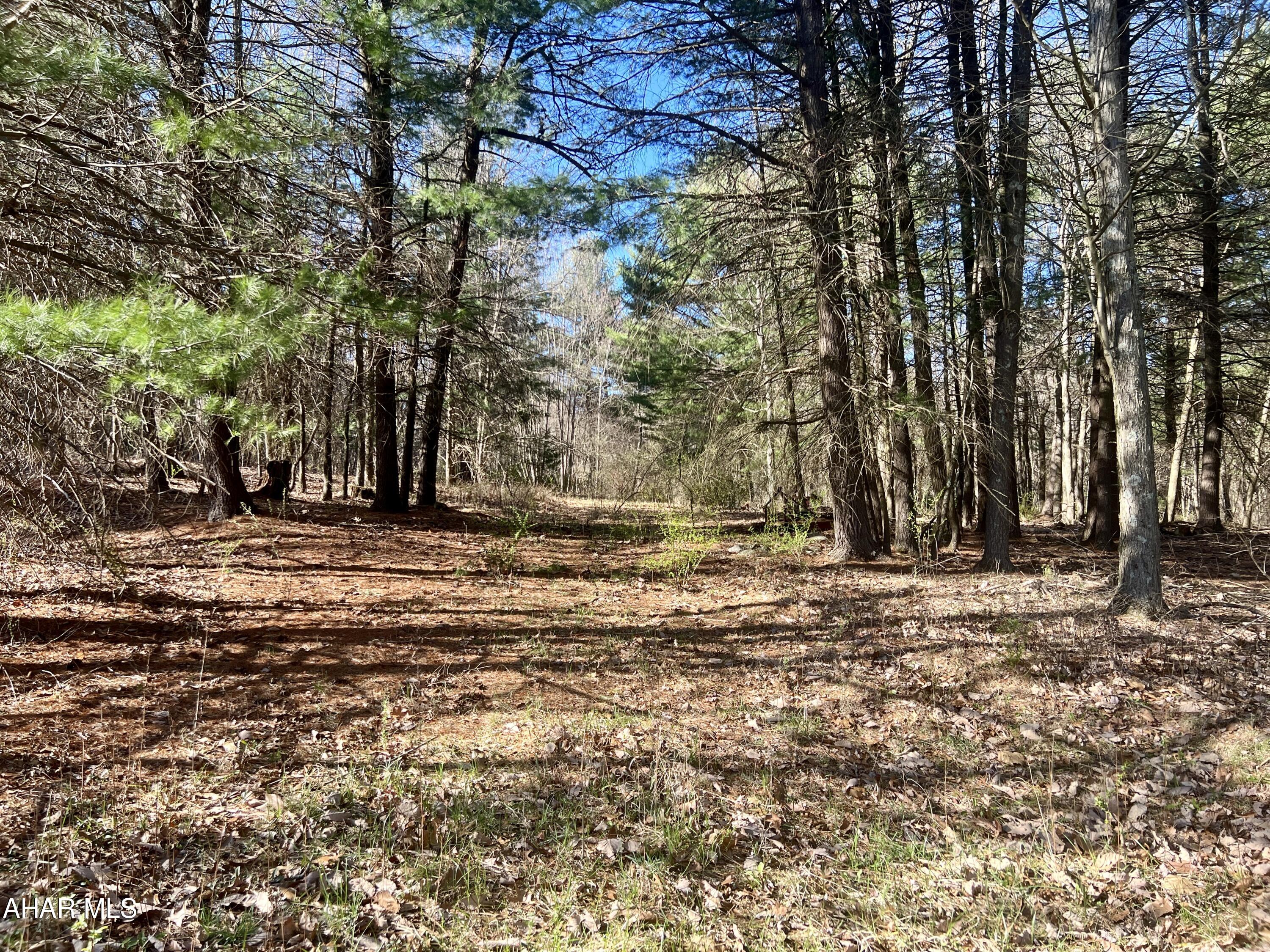 None - Commercial Sale