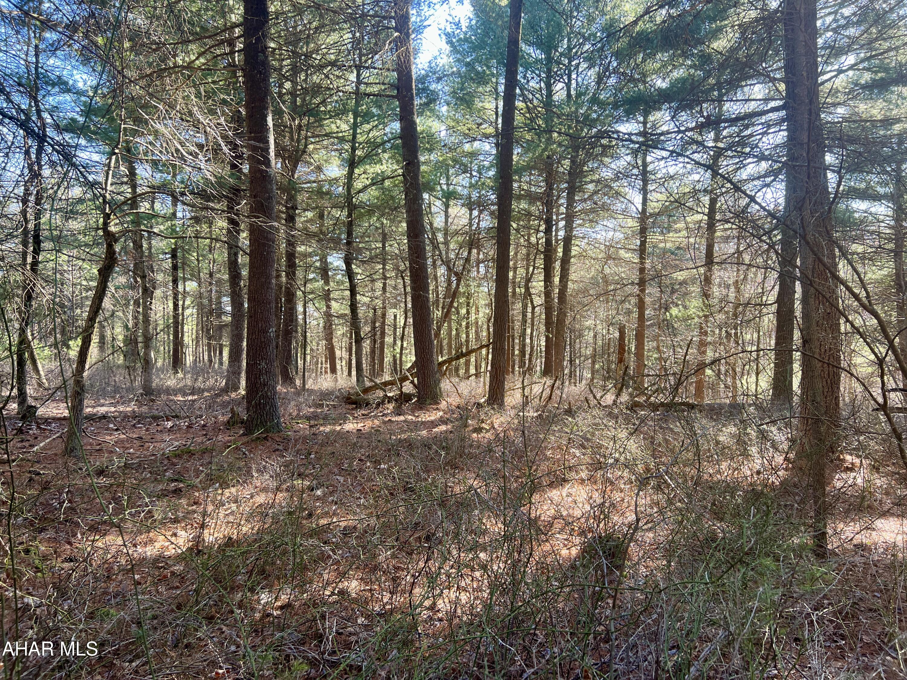 None - Commercial Sale