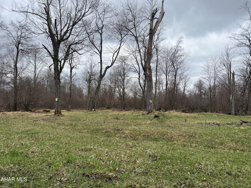 Unbelievable find!! 113 acres interior holding in the Moshannon State Forest, SP Elliot State Park. Wooded land with exceptional road frontage. Small stream on the property. Great hunting.  Snowmobile trails for your winter pleasure. Could be great private get away property or subdivide to sell lots!