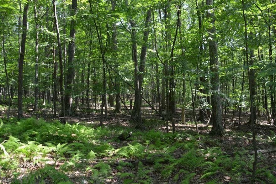 Nice level parcel of land consisting of 3 plus acres. Located within a few miles of State Forest Land, MD/PA line, and Rocky Gap Resort. Would make a nice place to build a hunting cabin or weekend getaway.