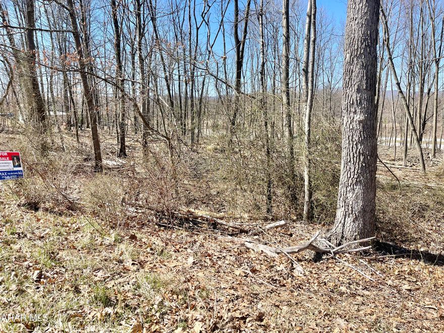 SELLERS WANT OFFERS!!! Great buildable 2.8 acre lot in Logan Township. Property has recently had some tree removal. From Bellmead Drive take S Carlisle Ln making a left onto E Clemson Rd. Travel .2 miles, property will be on the left side.