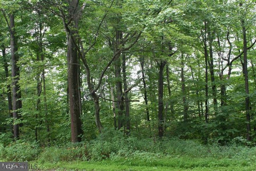 This location is perfect for year round living or seasonal recreation. It is located within steps to Blue Knob State Park, where you will find abundant outdoor recreation. From skiing and tubing in the winter, to swimming sand picnicking in the summer. There is many trails to hike and to bike. This is a convenient location coming from any direction. Golfing, fishing and hunting are all nearby.