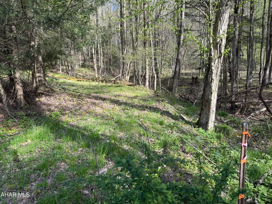 This 3.5-acre parcel offers a rare balance of complete privacy and modern convenience. Tucked away in a peaceful, wooded setting, it remains exceptionally connected to Ebensburg and major transit arteries like Route 22, ensuring your morning commute is as effortless as your evenings are quiet. Enjoy a sprawling, secluded landscape perfect for building a custom estate or a quiet retreat. The acreage is primarily level at the top to gently sloping offering multiple ideal building sites.  This parcel is equipped with available public utilities, including water, sewer, and electricity all at the road. Buyer to verify availability and connection cost with municipality.  Located just minutes from the heart of Ebensburg, you are close to local employers, schools, and downtown dining. The quick access to highways means you can enjoy the 'middle of nowhere' feel without sacrificing a short drive to work. While your property feels like a private park, you are a short drive from local favorites like the Ghost Town Trail for recreation and major retailers for your daily needs.  Call today for additional information. Please be mindful and do not block neighbors driveway when going to look at the lot.  Walk towards abandoned building and keep to your right and you will see the pathway to the top where lot was cleared.  There is several trees down and wet at the bottom from the rain.